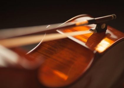 violin dimensions pdf