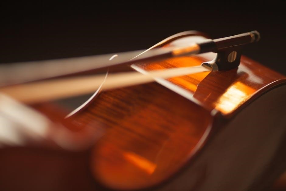 violin dimensions pdf