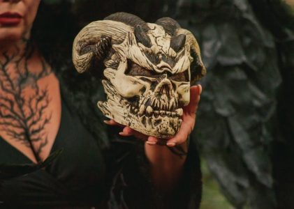 otherworld demon king survival guide