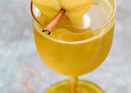 cocktail recipe book pdf