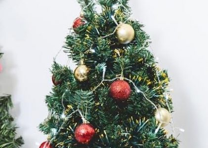 christmas proclamation chant pdf