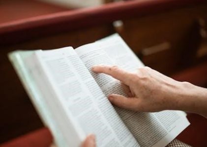 summary of bible books pdf